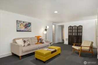 Basement living/media space