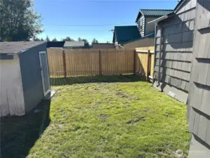 Back yard.