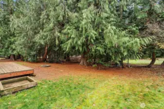 Unit A - Backyard wooded area