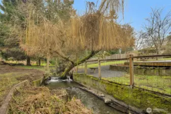 Wildlife this home enjoys: Otters, salmon, great blue herons, bald eagles, hawks, crawfish, bunnies and friendly crows.