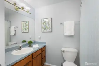Full guest bathroom