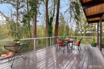 Back Deck Off Living Room