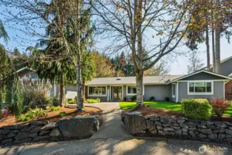 This view captures the kind of front entry that people remember. The circular driveway opens seamlessly to a walkway that feels guided rather than forced, thanks to those bold, sculptural boulders that have been part of the setting for years. Guests are naturally funneled along the path, passing between mature trees and into a space that feels thoughtfully composed.   The front yard is in great shape, with rich green lawn and a mix of established plantings that add texture and interest without feeling busy. Pampas grass, cedar, and clean bark beds keep things low maintenance but visually strong. The exterior color palette, darker gray up top and lighter below, gives the home a fresh, updated look that ties everything together.  And then there’s the location, this sits right in Olympia’s highly sought after “golden triangle,” where Pioneer Elementary, Washington Middle School, and Olympia High School all meet, all within walking distance.