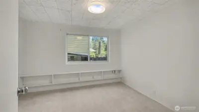 Lower level 5th bedroom