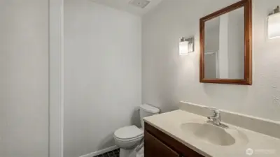 Lower level bathroom with shower