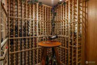 Wine cellar + extra storage
