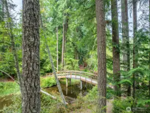 Find Your Zen Here!