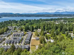 Neighborhood view highlights stunning scenery w/ Dyes Inlet in the distance & the Olympic Mountains as a dramatic backdrop—beauty & tranquility in every direction.