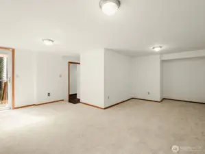 Downstairs Bonus room