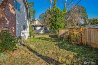 Side yard