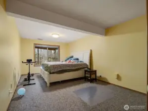 Daylight Basement Bedroom