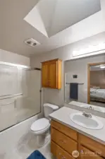 Perhaps a skylight in the primary is all you've ever wanted?