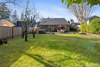 Enjoy Italian Plums, Cherries, and Apples!