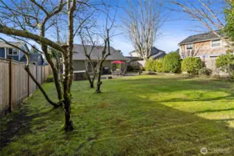 Your own orchard just off of Orchard Street!