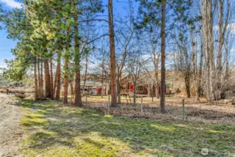 Private Treed Setting -  Mature trees surround the home, creating a serene and secluded setting that feels like your own private retreat.