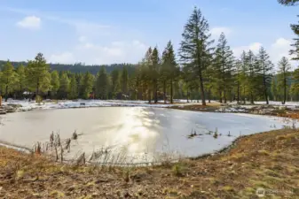 Welcome to 15 Gold Leaf Lane, one of the last remaining premier (ready to build) lots on the sunny shores of Paintbrush Lakes.