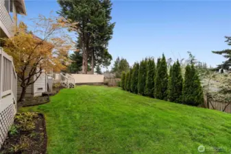 Lots of space to play outside!