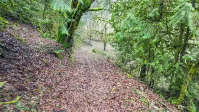 There is a trail that leads through the woods and over to another clearing.