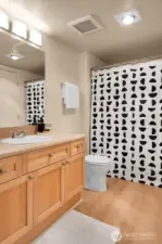 Full continental bath accessible from both the hallway & bedroom.