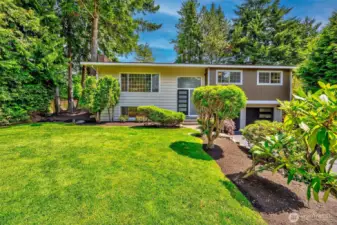 Landscaped and level front yard
