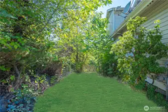 Private fenced yard with separation from the street