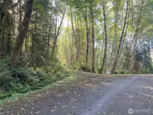 Road leading to property