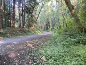 Road leading to property