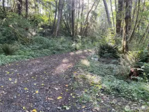 Private road leading to level land