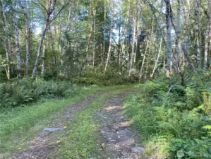 Private road leading to level land