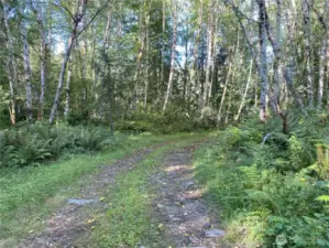 Private road leading to level land