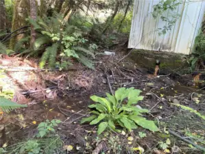 Structure marking overflowing underground spring