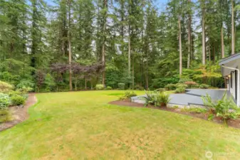 Large private backyard and huge deck perfect for entertaining