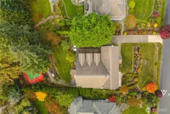 Over half an acre of land!