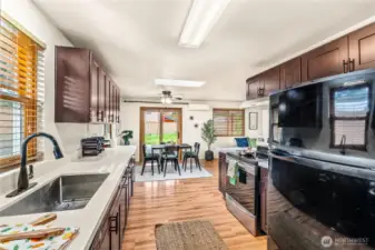 New countertops and oversized under-mount kitchen sink