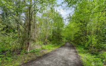 Private drive leading to the house.