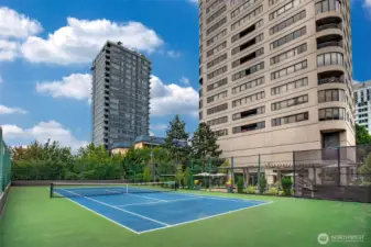 Pickle and Tennis Ball courts