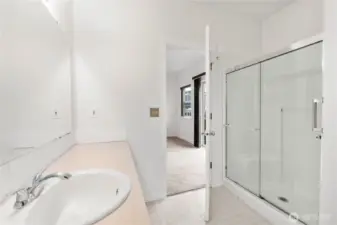 Large walk in shower in the primary bathroom