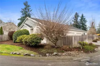 HOA maintains mature landscaping