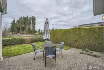 Patio and outdoor space overlook the community open area and tranquil waterfall.