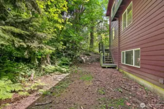 Back yard clearing between house and trees