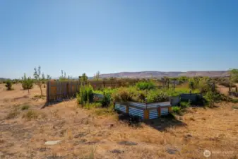 Raised garden boxes