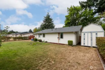A backyard that is perfect for pets, gatherings, and BBQs.