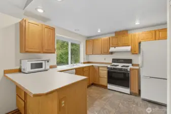 Everything you need in a kitchen.  Functional, plenty of storage and easily accessible pantry!
