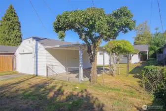 Garage w carport and fruit trees