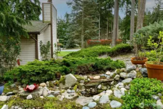 Side view of garden area