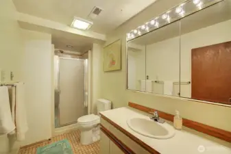Lower level 3/4 bath