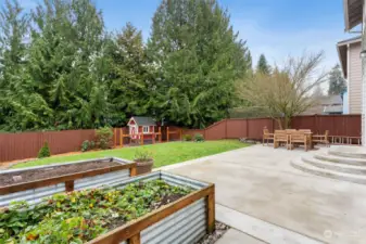 2nd look at the patio and the raised garden beds