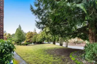 Sweet  Yard with cute tree Swing!