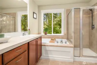 Primary suite with soaking tub and huge walk-in-closet. Note the privacy and natural lighting!