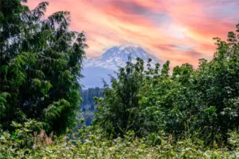 Our great Lady-beautiful Mount Rainier!